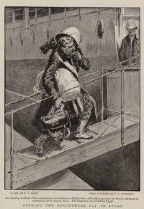 Imbarco del gatto del reggimento